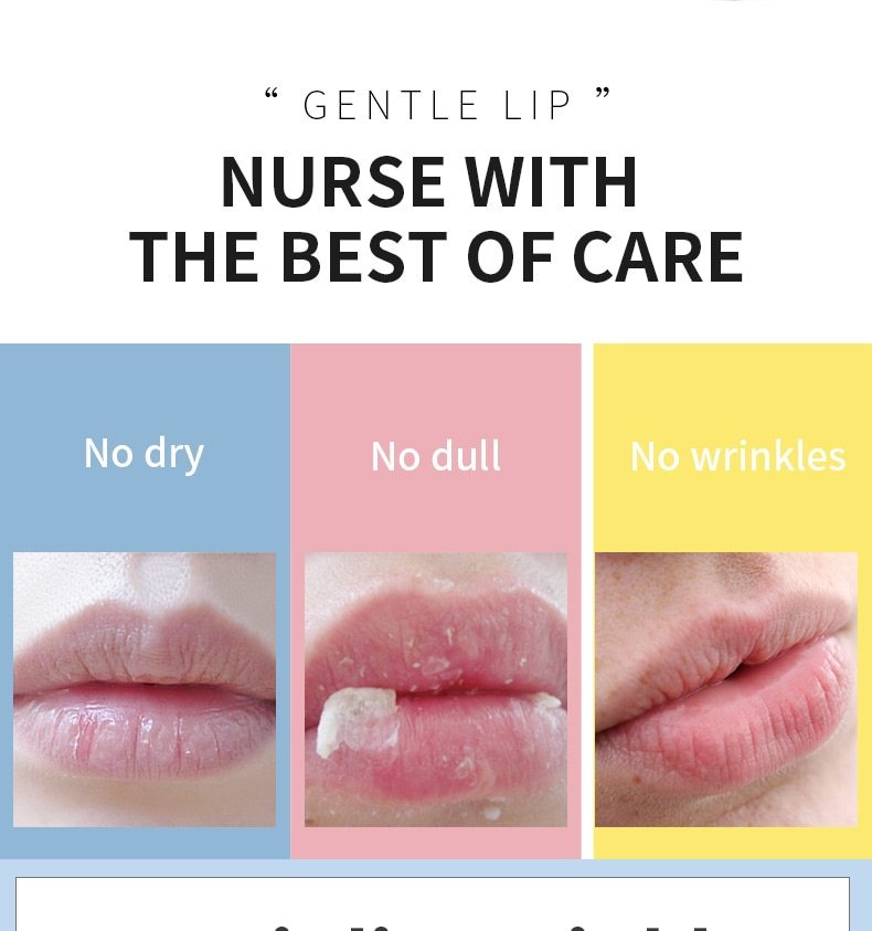 3.5g Shea Butter Lip Scrub Makeup Nourishing Moisturizing Lipbalm Anti Aging Exfoliating Full Lip Balm Remove Dead Skin Repair