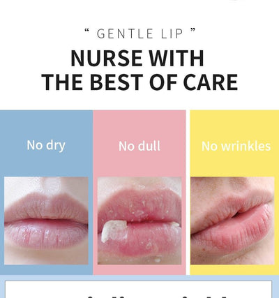 3.5g Shea Butter Lip Scrub Makeup Nourishing Moisturizing Lipbalm Anti Aging Exfoliating Full Lip Balm Remove Dead Skin Repair